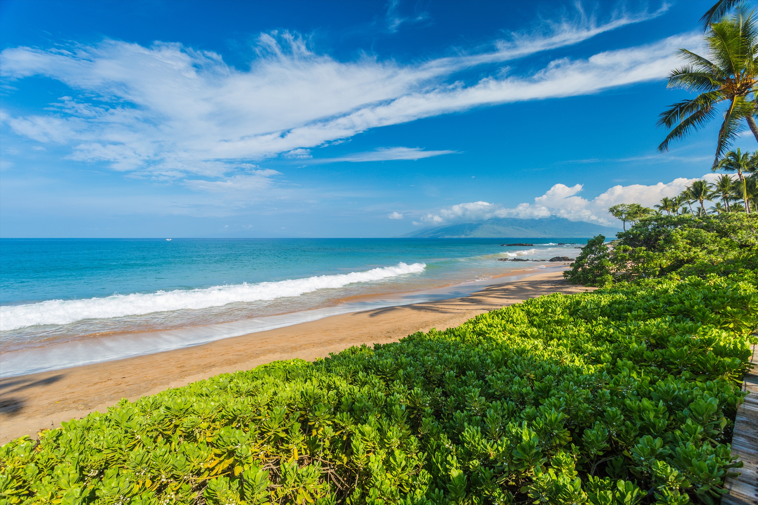 [わらびさま専用]A1359-12/A1359-13　2点おまとめ　アラビア エ Amore Aloha 813 at Andaz Maui at Wailea Resort